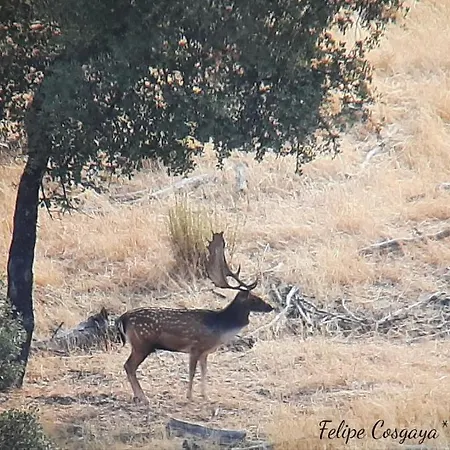 Albahaca Semesterbostad