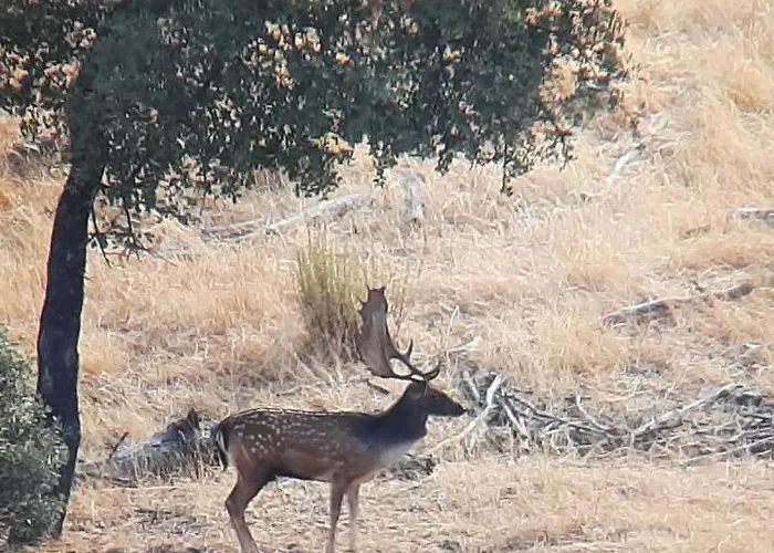 Albahaca Holiday home